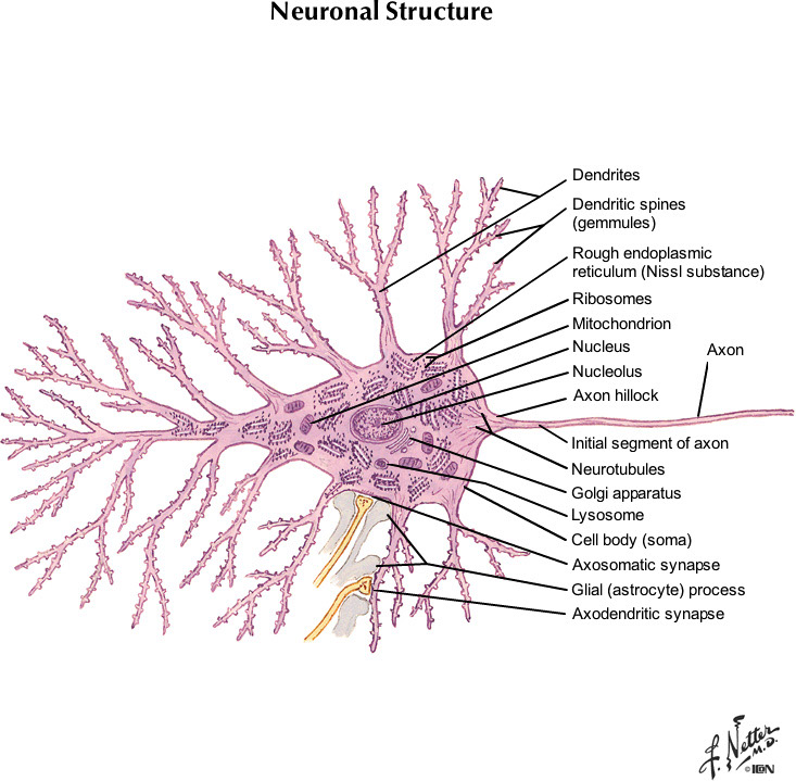 %_tempFileNameFigureI.1_l%