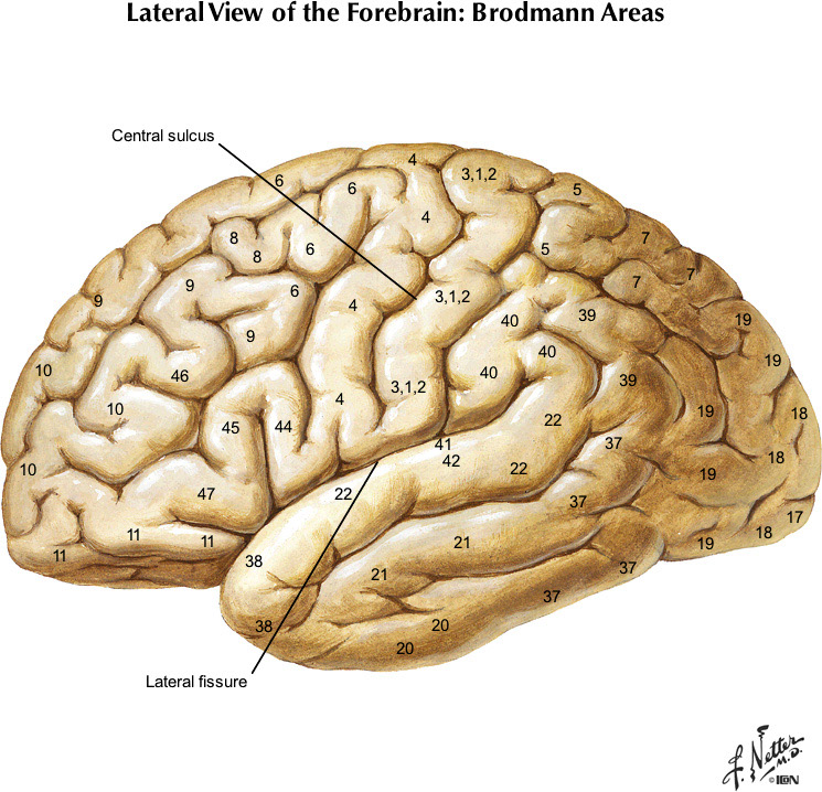 %_tempFileNameFigureI.21_l%