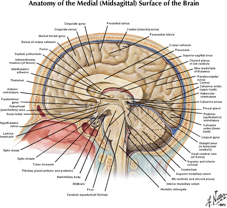 %_tempFileNameFigureI.22A_l%