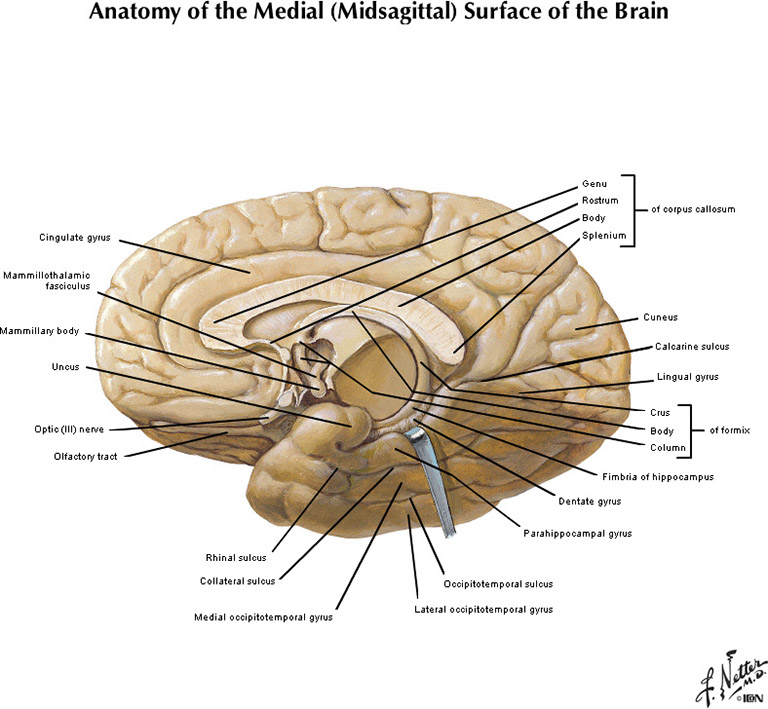 %_tempFileNameFigureI.22B_l%