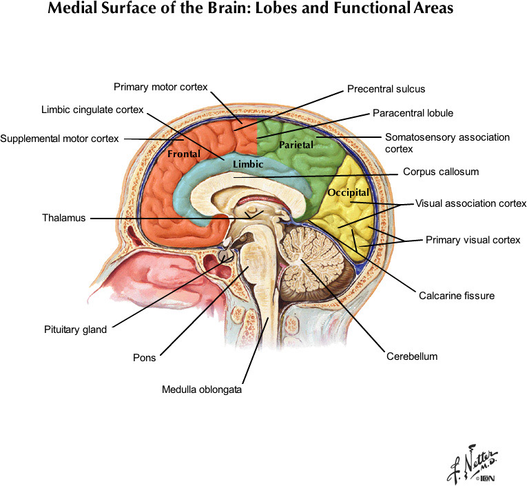 %_tempFileNameFigureI.23_l%