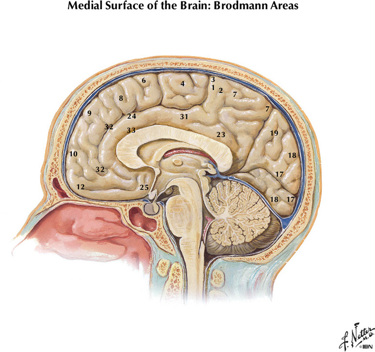 %_tempFileNameFigureI.24_l%