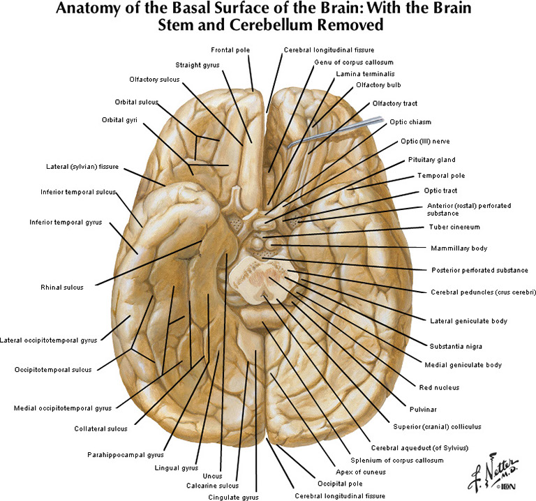%_tempFileNameFigureI.25_l%