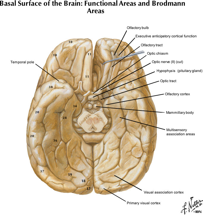 %_tempFileNameFigureI.26_l%