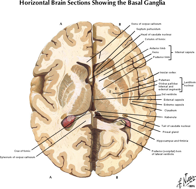 %_tempFileNameFigureI.27A_l%
