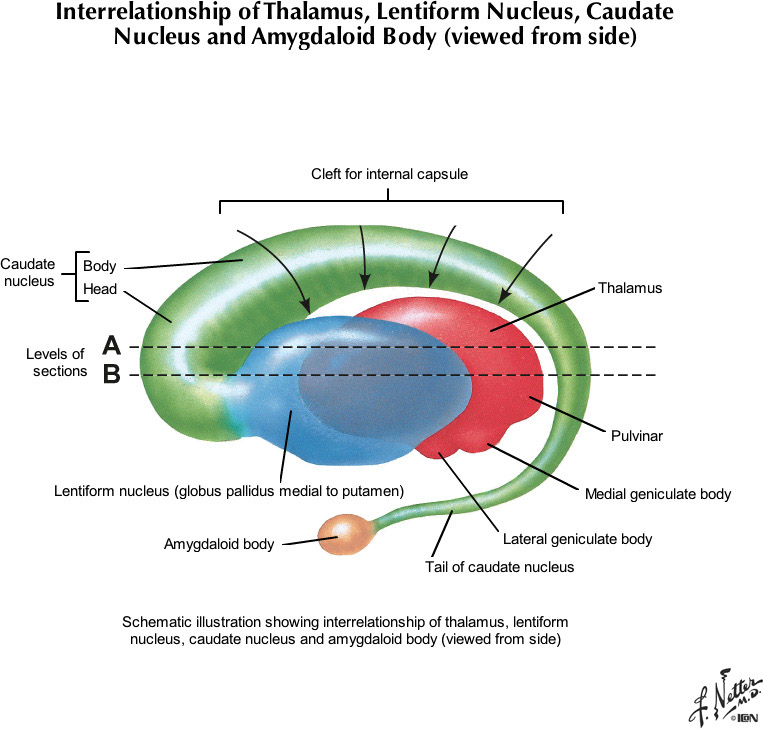 %_tempFileNameFigureI.27B_l%