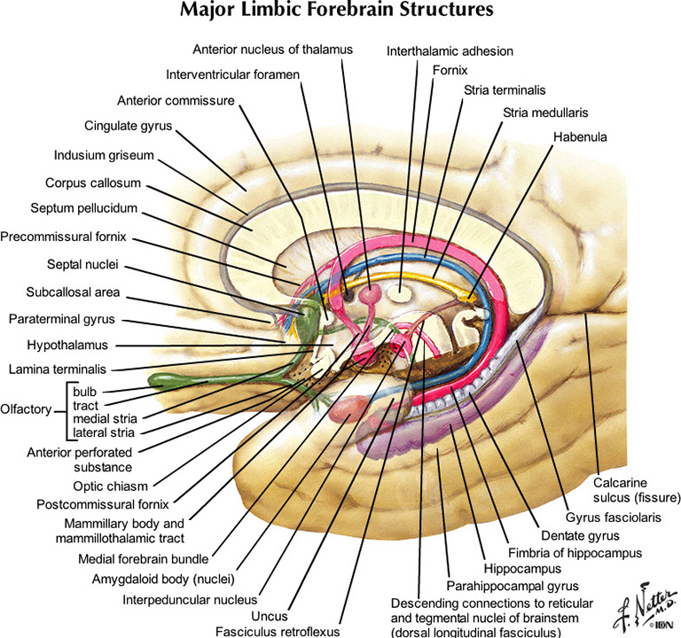 %_tempFileNameFigureI.28_l%