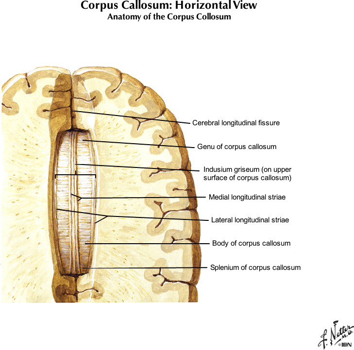%_tempFileNameFigureI.29_l%