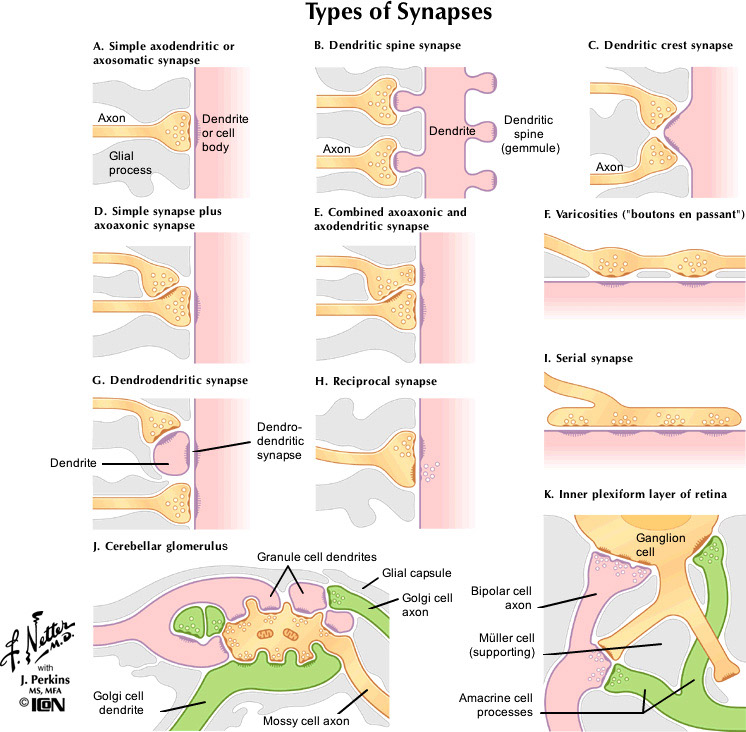 %_tempFileNameFigureI.2_l%