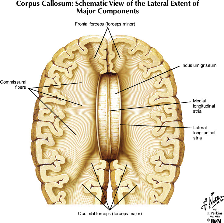 %_tempFileNameFigureI.30_l%