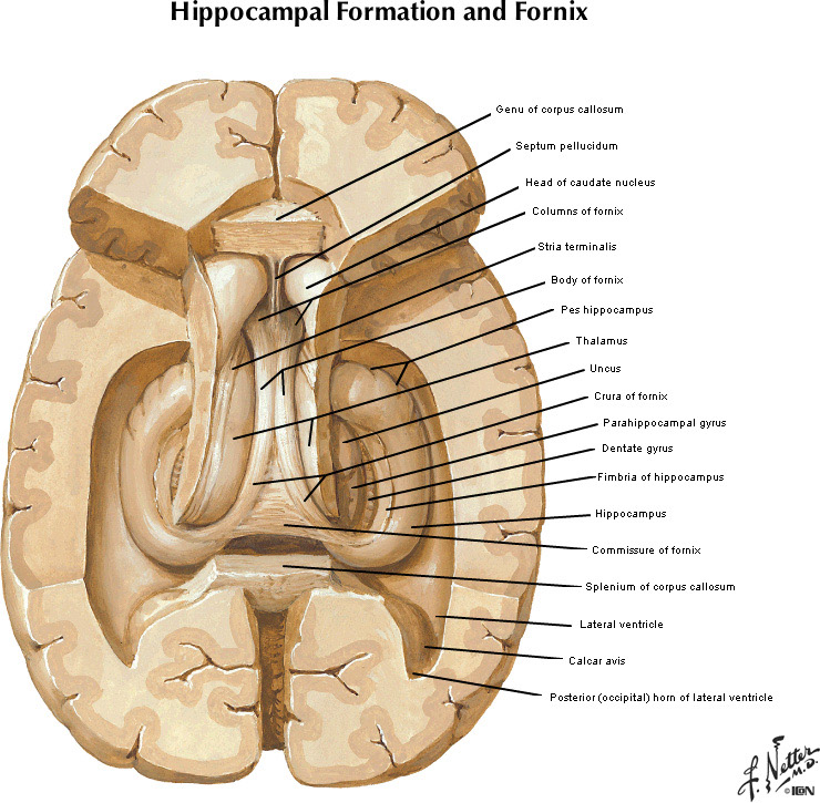 %_tempFileNameFigureI.31A_l%