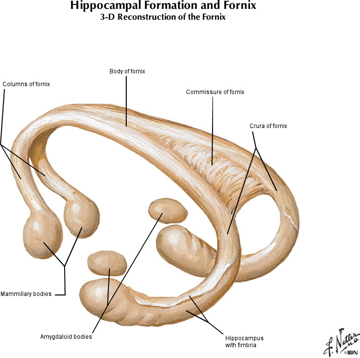 %_tempFileNameFigureI.31B_l%