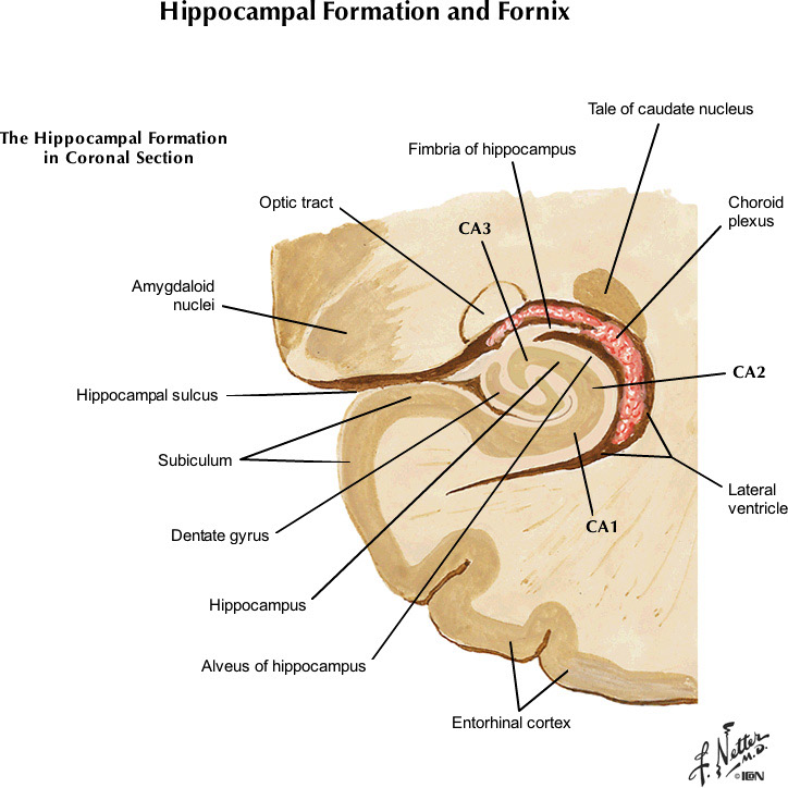 %_tempFileNameFigureI.31C_l%