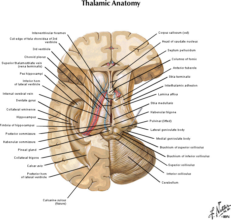 %_tempFileNameFigureI.32_l%