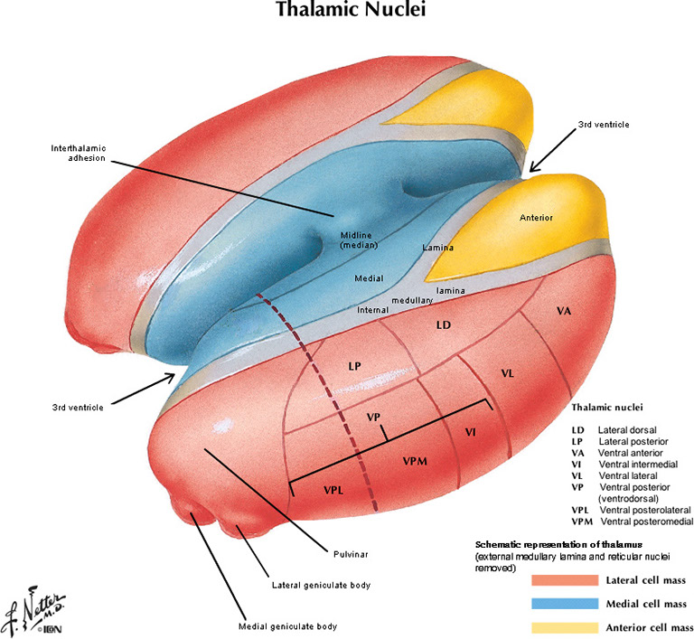 %_tempFileNameFigureI.33B_l%