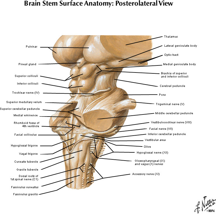 %_tempFileNameFigureI.34A_l%
