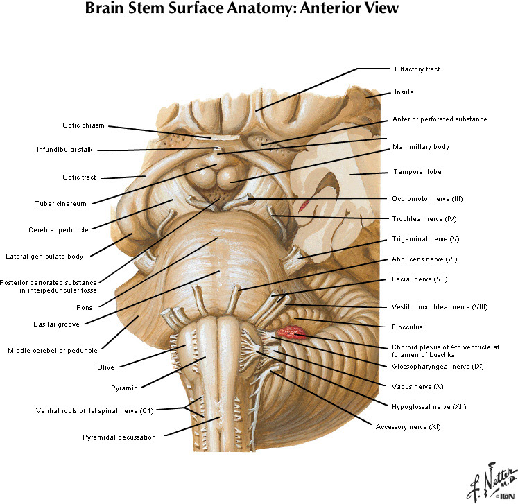 %_tempFileNameFigureI.34B_l%