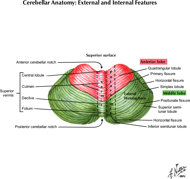 %_tempFileNameFigureI.35A_l%