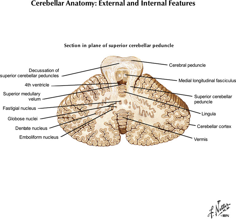 %_tempFileNameFigureI.35C_l%