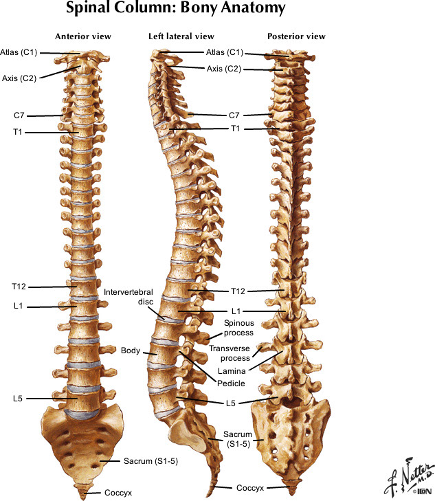 %_tempFileNameFigureI.36_l%