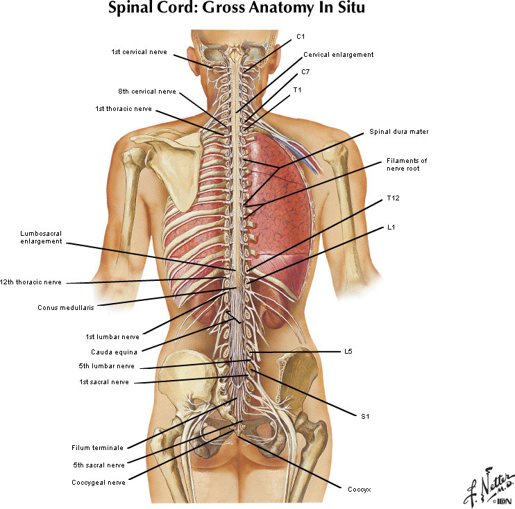 %_tempFileNameFigureI.37_l%