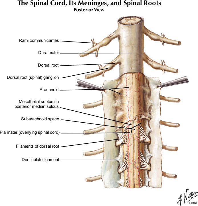 %_tempFileNameFigureI.38A_l%