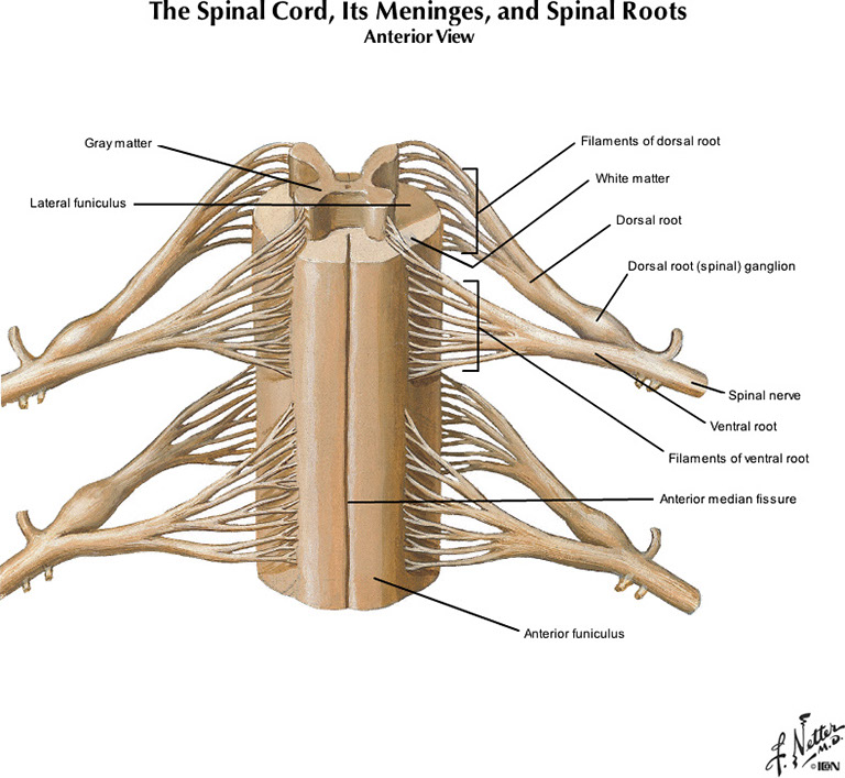 %_tempFileNameFigureI.38B_l%