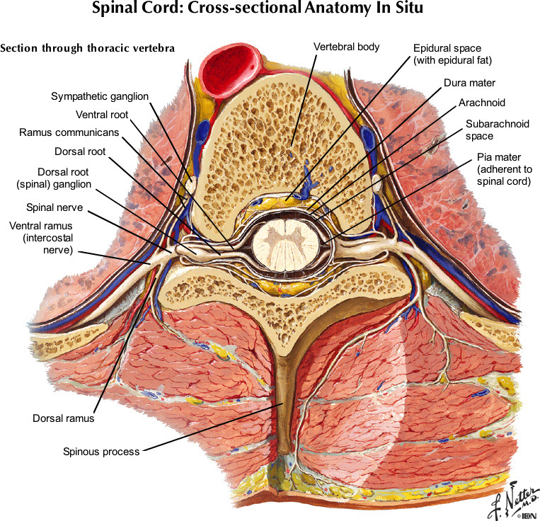 %_tempFileNameFigureI.39A_l%