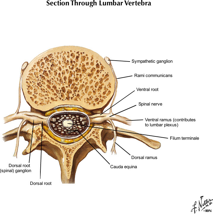%_tempFileNameFigureI.39B_l%