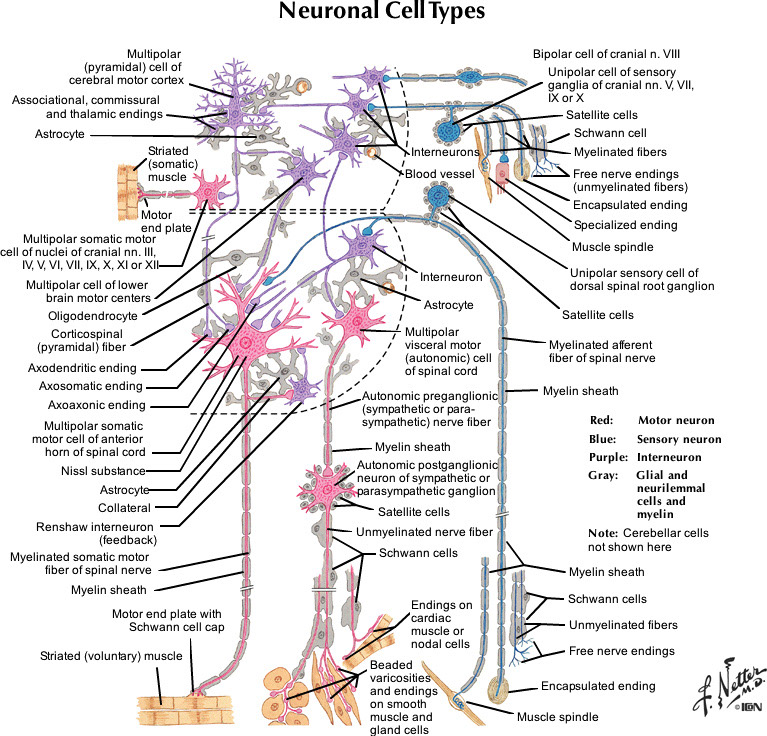 %_tempFileNameFigureI.3_l%