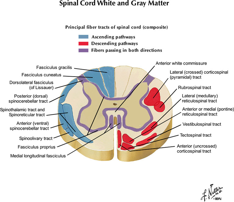 %_tempFileNameFigureI.40B_l%