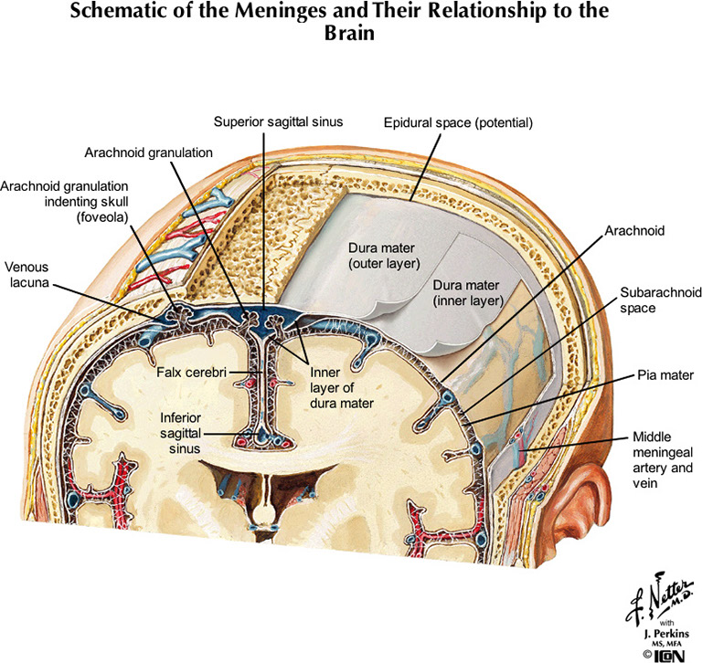 %_tempFileNameFigureI.41A_l%