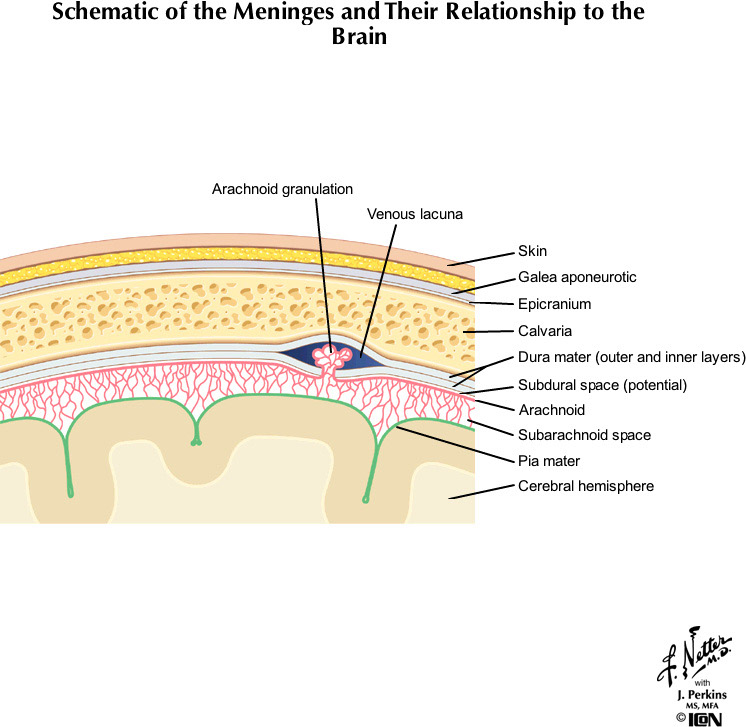%_tempFileNameFigureI.41B_l%