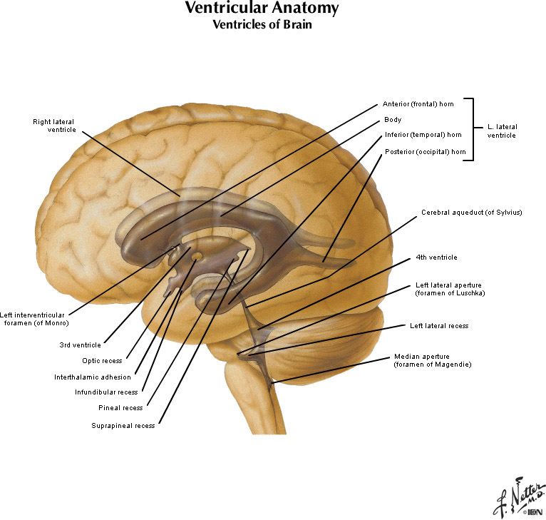 %_tempFileNameFigureI.42A_l%