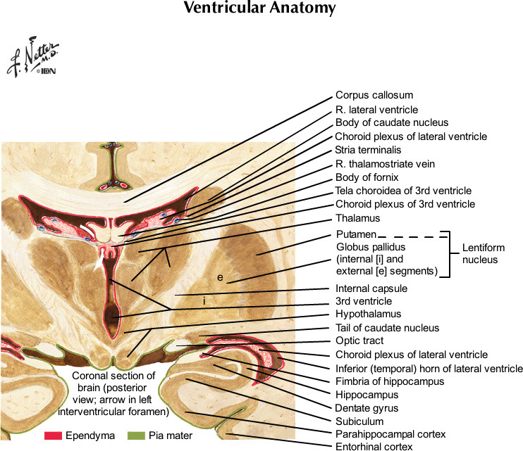 %_tempFileNameFigureI.42B_l%