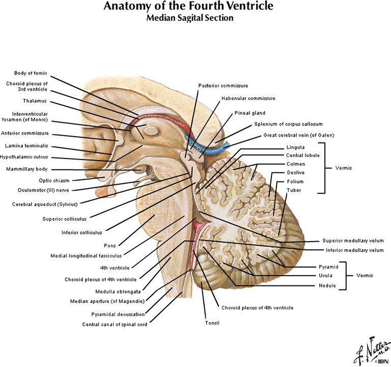 %_tempFileNameFigureI.43B_l%