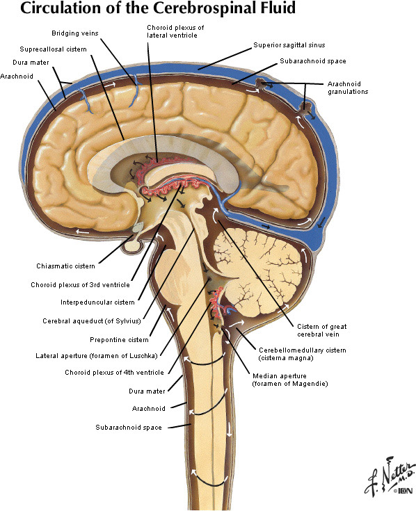 %_tempFileNameFigureI.44_l%