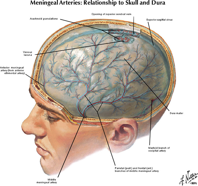 %_tempFileNameFigureI.45A_l%