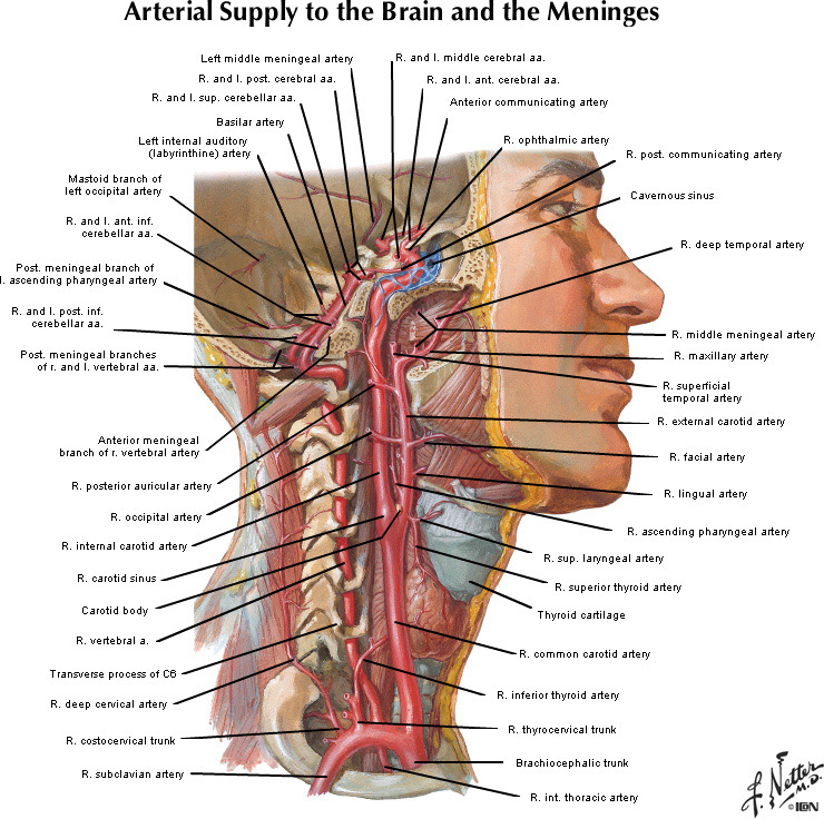 %_tempFileNameFigureI.46_l%