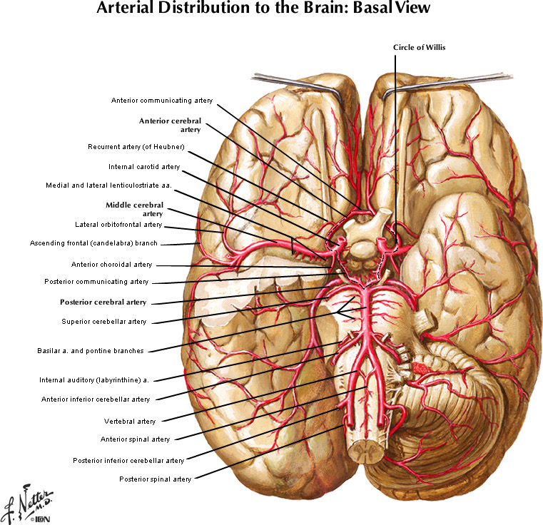 %_tempFileNameFigureI.47A_l%