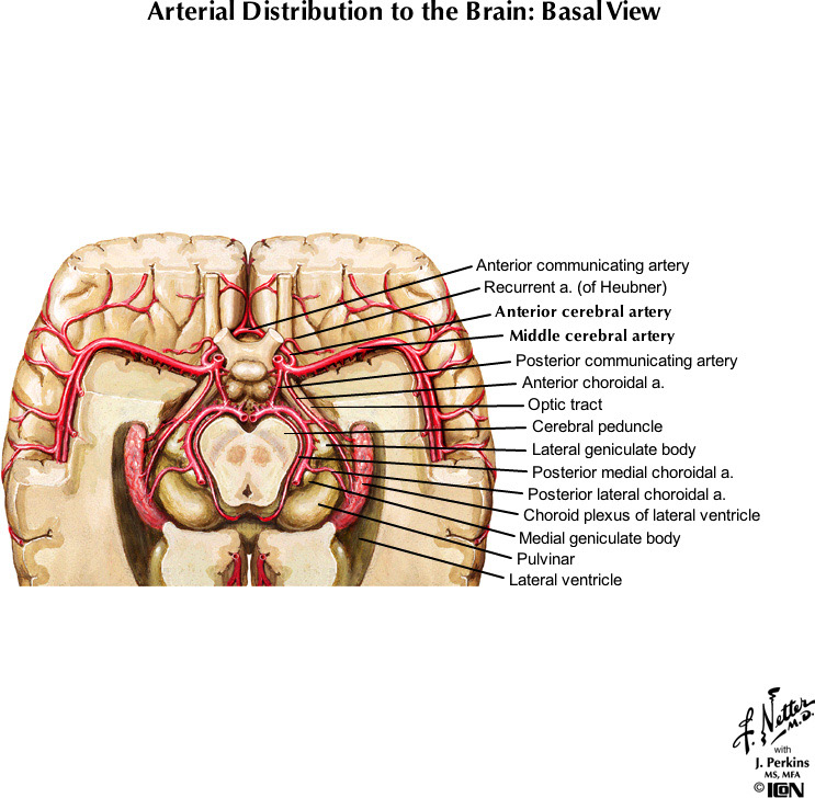 %_tempFileNameFigureI.47B_l%