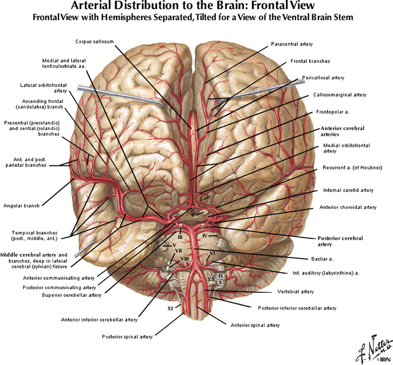 %_tempFileNameFigureI.48A_l%