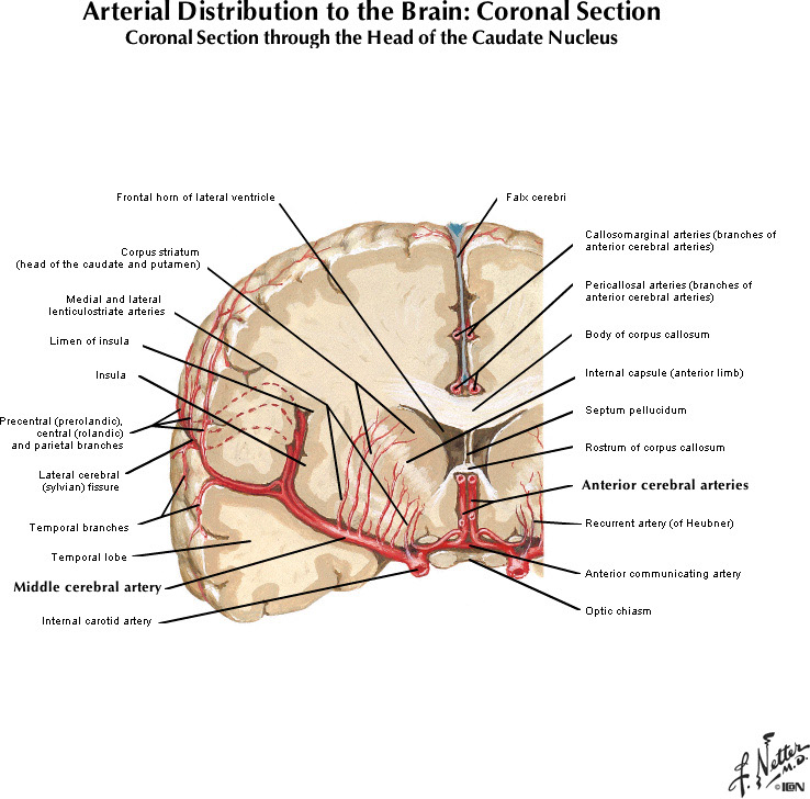 %_tempFileNameFigureI.48B_l%