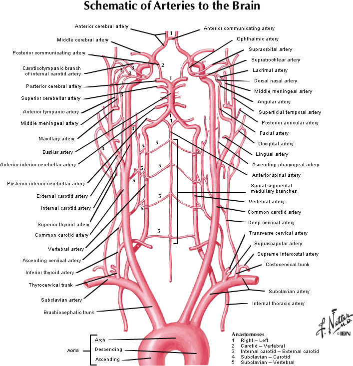 %_tempFileNameFigureI.49_l%