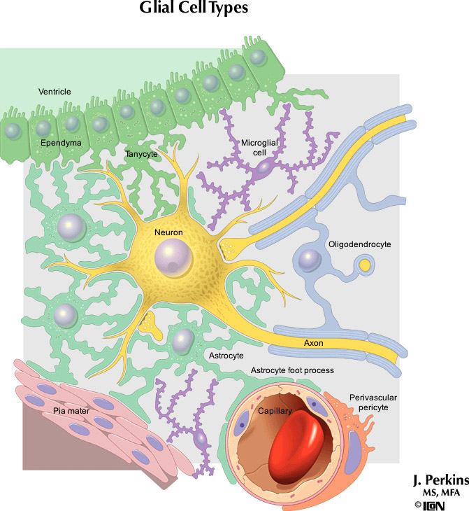 %_tempFileNameFigureI.4_l%