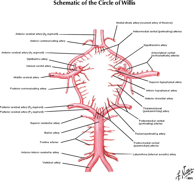 %_tempFileNameFigureI.50A_l%