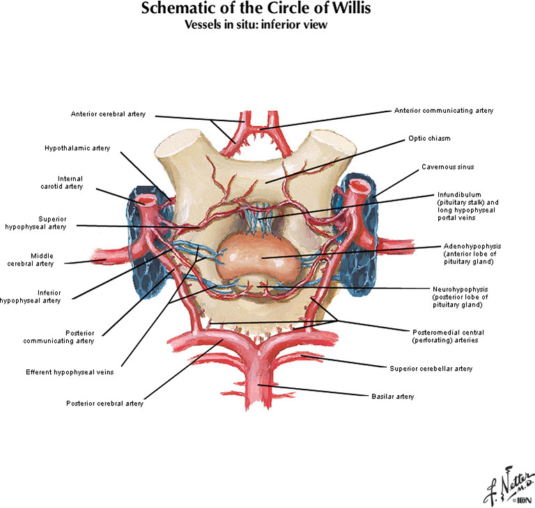 %_tempFileNameFigureI.50B_l%