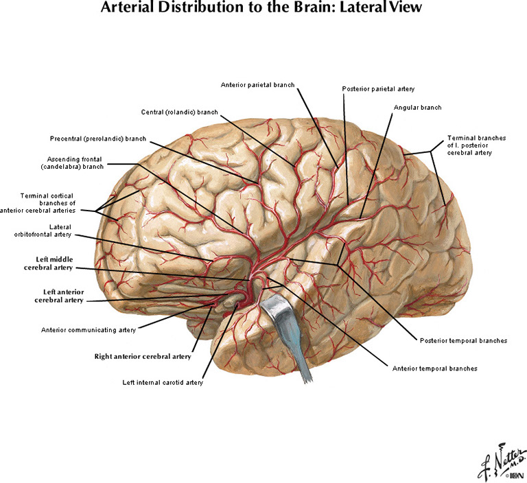 %_tempFileNameFigureI.51A_l%
