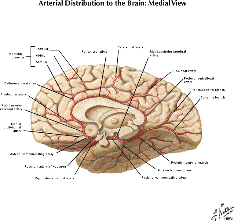%_tempFileNameFigureI.51B_l%