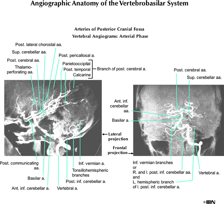 %_tempFileNameFigureI.54_l%
